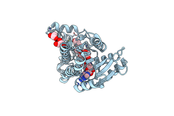 1I5R image