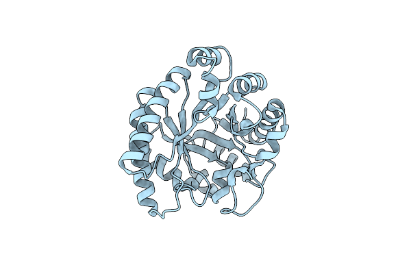 1I60 image