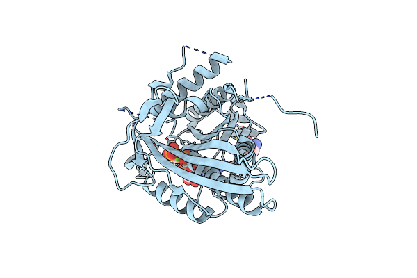 1I6I image