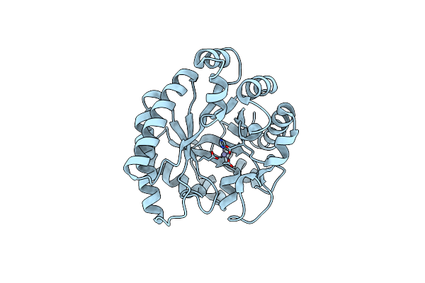 1I6N image