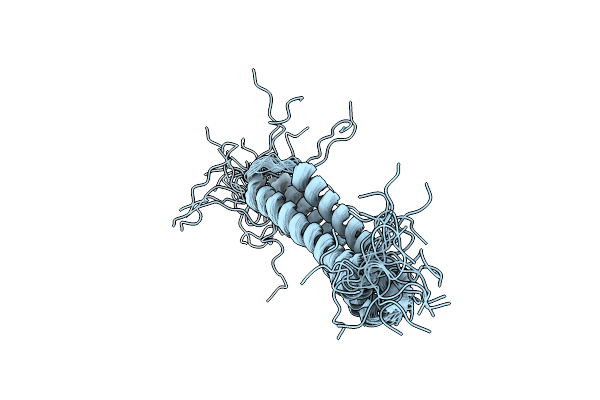 1I6Z image