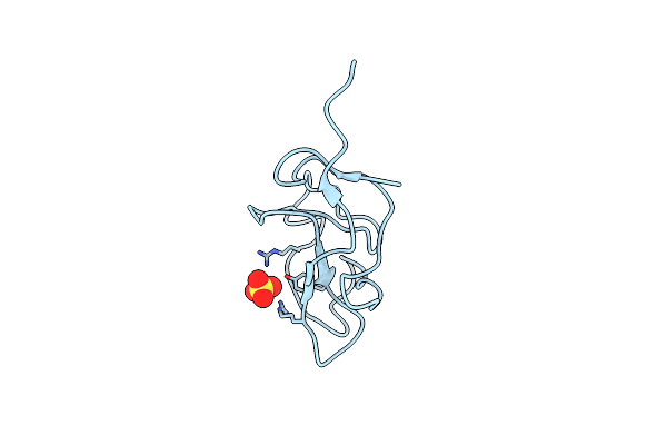 1I71 image