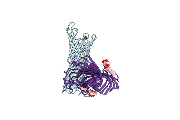 1I78 image