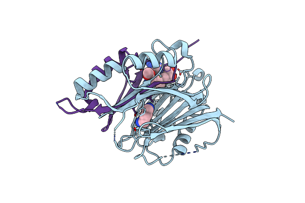 1I7B image