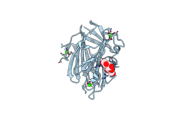 1I82 image