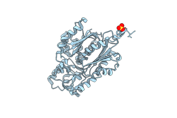 1I86 image