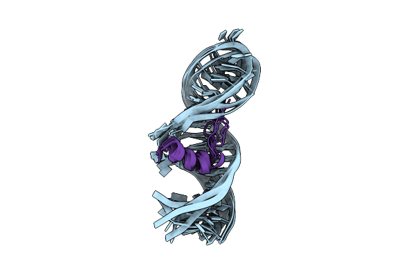 1I9F image
