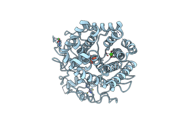 1IA6 image