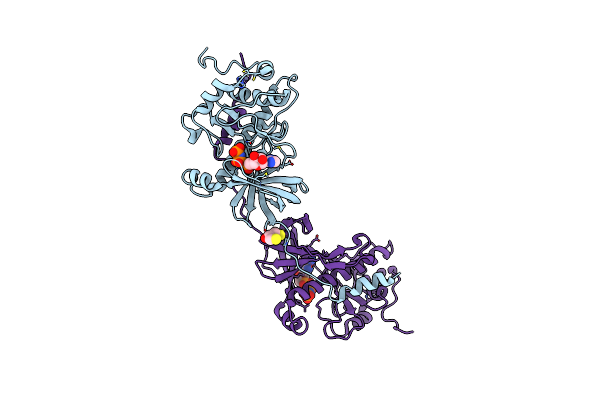 1IA9 image