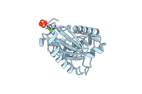 1IAG image