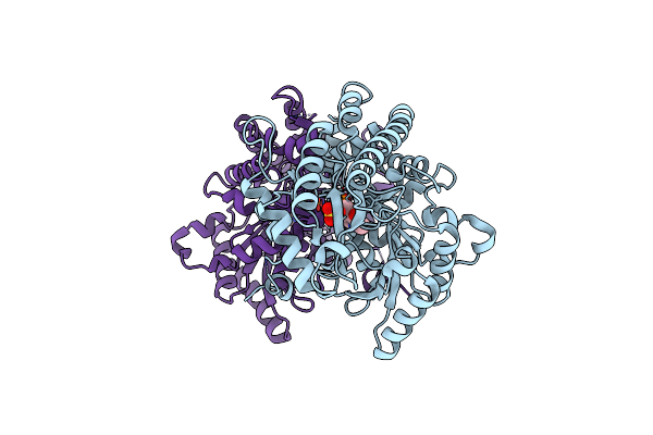 1IAX image