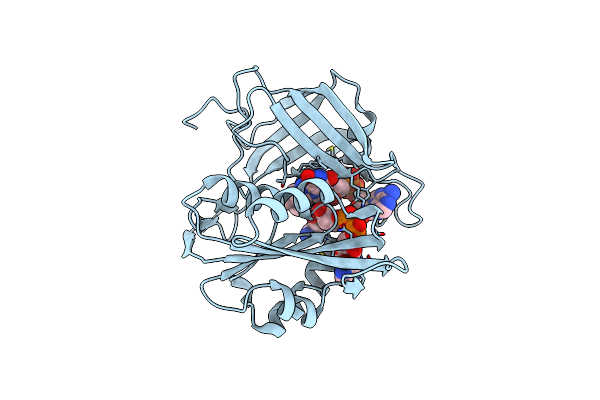1IB0 image