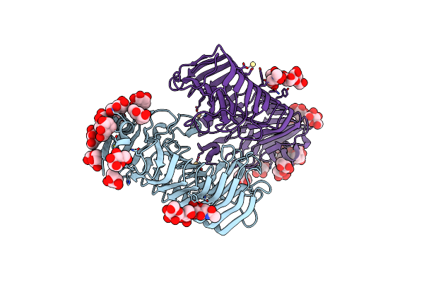 1IB4 image