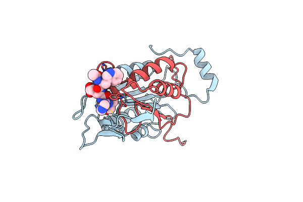 1IBC image