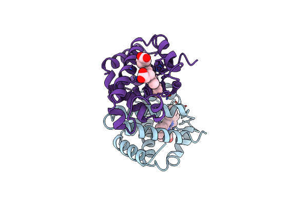 1IBE image