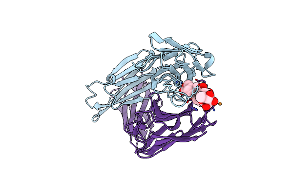 1IBG image