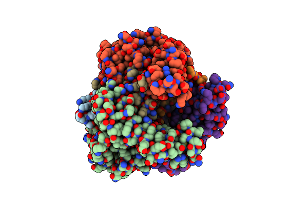 1IBT image