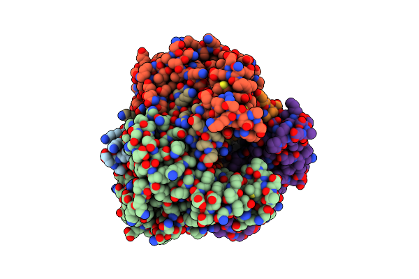 1IBV image