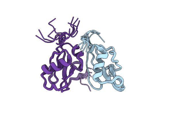 1IBX image