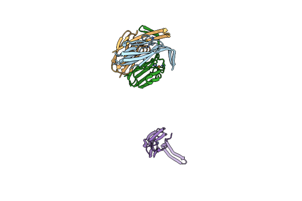 1IBZ image