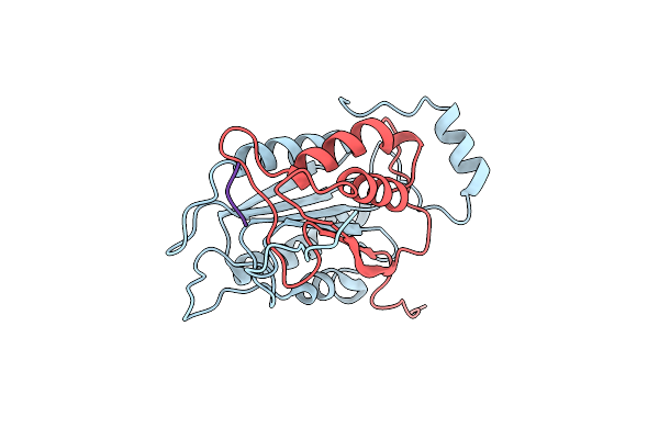 1ICE image