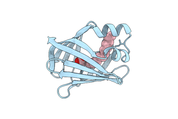 1ICN image