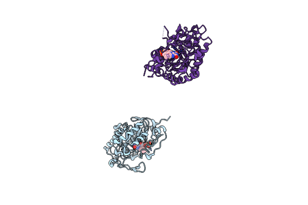 1ICS image