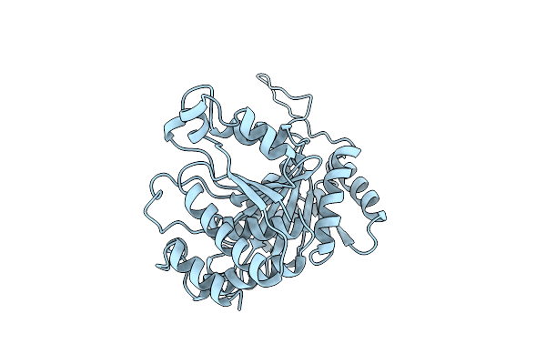 1IDM image