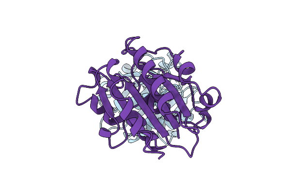 1IDN image