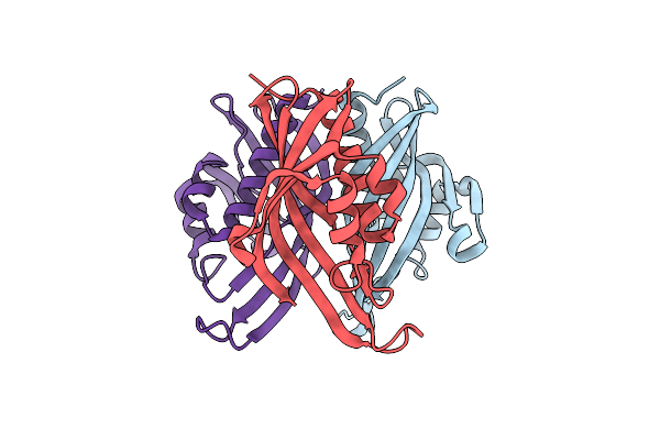 1IDP image