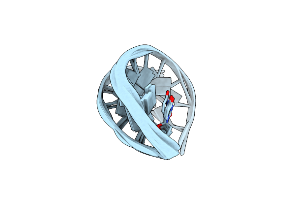 1IDX image