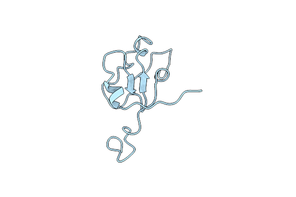 1IET image