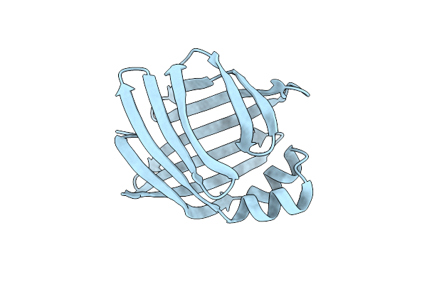 1IFB image