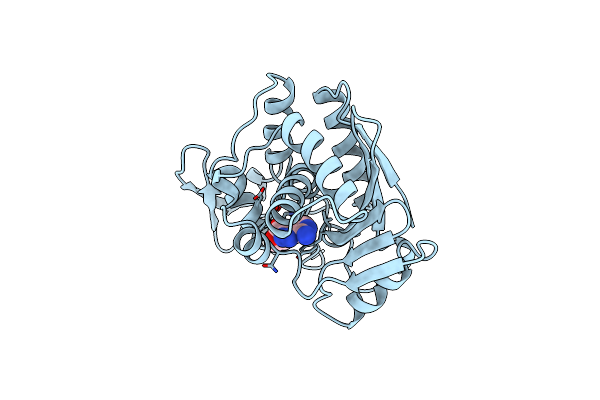 1IFU image