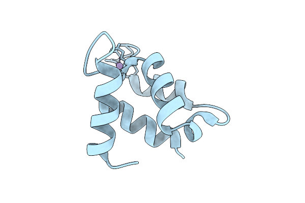 1IGV image
