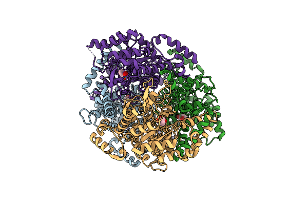 1IGW image