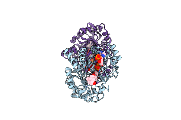 1IHI image