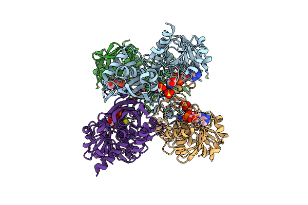 1IHX image
