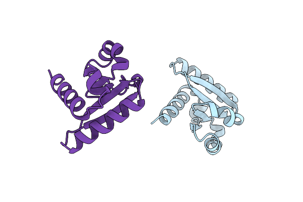 1IIB image
