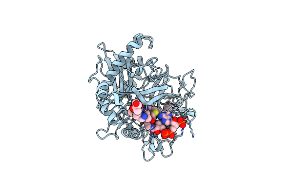 1IID image