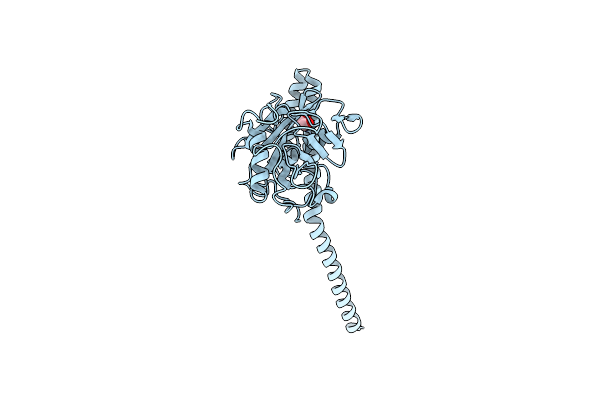 1IIP image