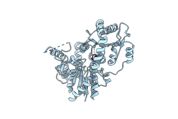 1IIR image