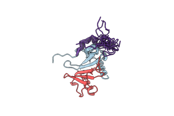 1ILP image