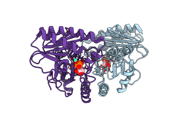 1IMB image