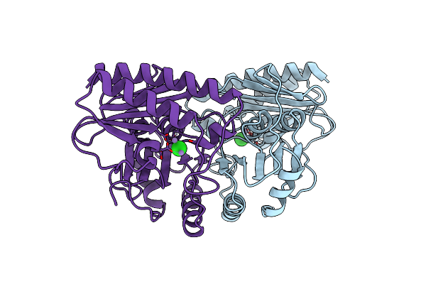 1IMC image