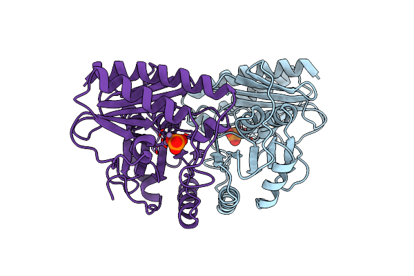 1IMD image