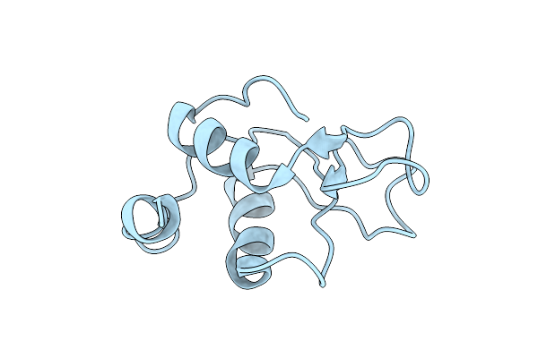 1IMO image