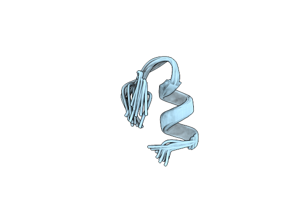1IMW image