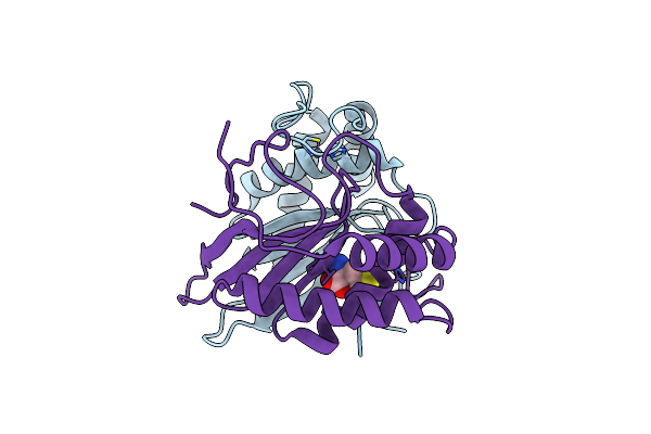 1INN image