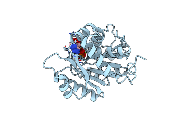 1ION image